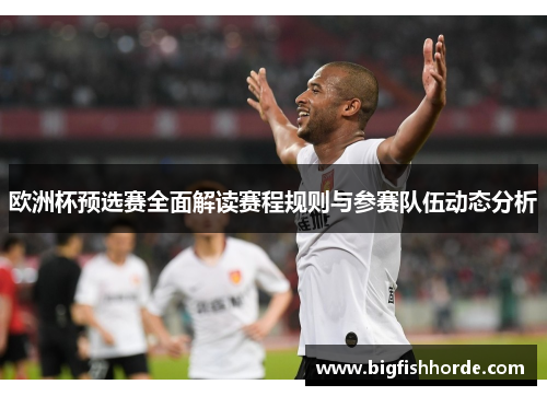 欧洲杯预选赛全面解读赛程规则与参赛队伍动态分析