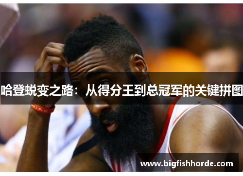 哈登蜕变之路：从得分王到总冠军的关键拼图